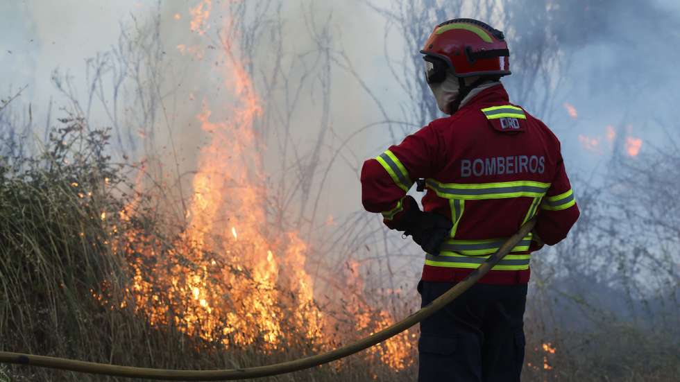 Incêndio florestal