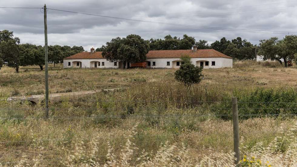 Com a mudança da lei, alerta a Zero, ficam em causa princípios de ordenamento do território