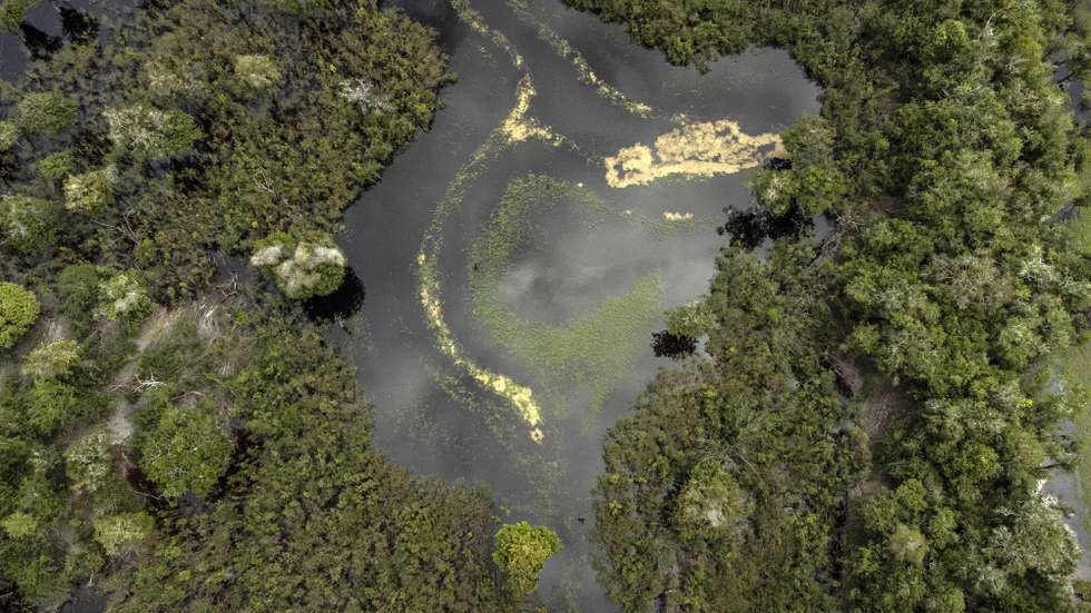epa12200411 (FILE) - Aerial photograph of the Jau National Park region, about 195 kilometers from Manaus, the largest city in the Amazon, Brazil, 27 January 2024 (reissued 27 June 2025). The UN International Day of the Tropics, on 29 June, is observed to raise awareness of the diversity and extraordinary challenges faced by the world’s tropical regions.  EPA/RAPHAEL ALVES