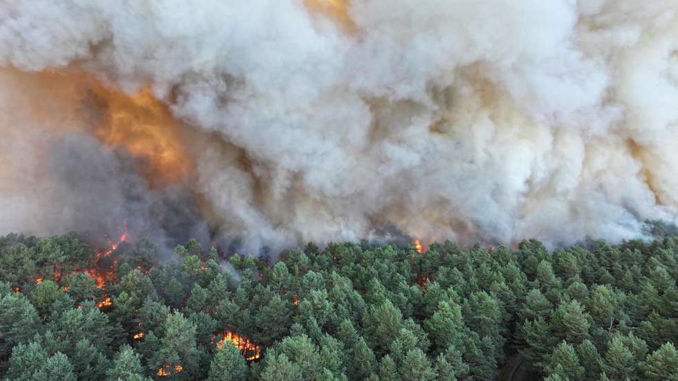 epa13107926 A handout photo made available by the Seine-et-Marne Fire and Rescue Service (SDIS 77) shows a fire raging in Fontainebleau Forest in Noisy-sur-Ecole, France, 12 July 2026 (issued 13 July 2026).  EPA/HANDOUT / SDIS 77 / FRANK DESPREZ HANDOUT PHOTO


EDITORIAL USE ONLY


MANDATORY CREDIT: HANDOUT / SDIS 77 / FRANK DESPREZHANDOUT EDITORIAL USE ONLY/NO SALES