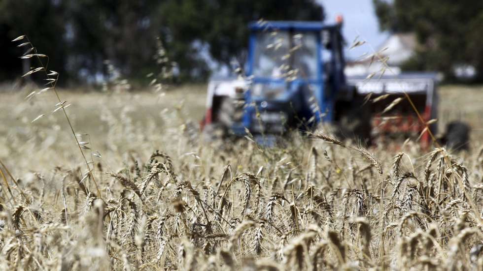 Em causa estão condições de vida por vezes degradantes que ficaram mais agravadas à conta da pandemia