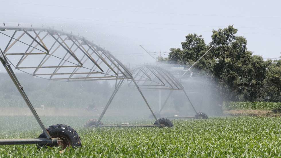 A juntar a isto, salientou esta federação de agricultores