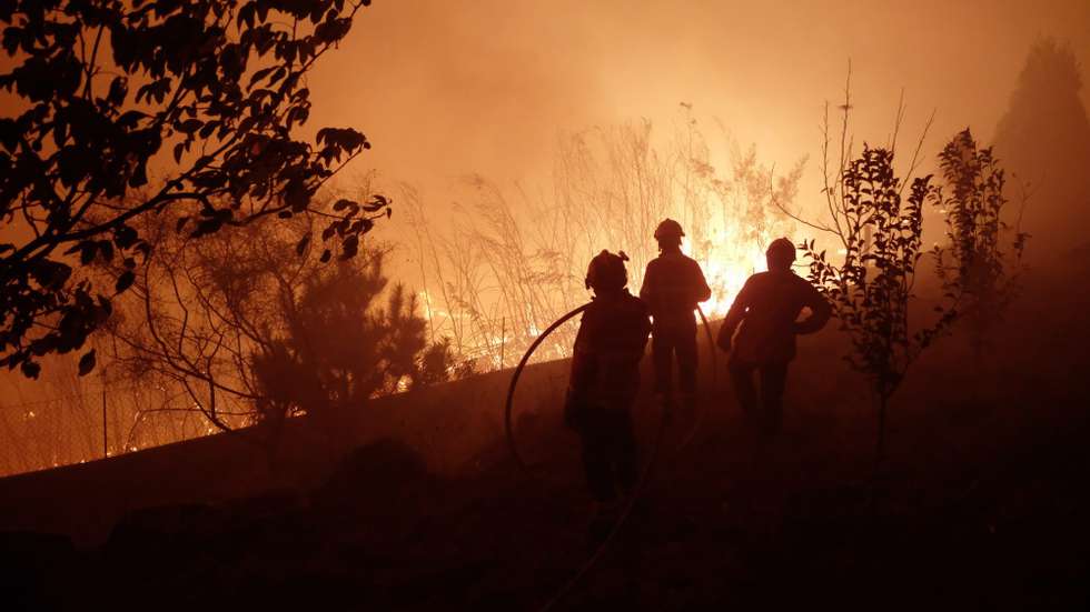 &quot;Os trabalhos vão implicar ações de limpeza e desmatação, retirada de espécies exóticas, abertura/manutenção de caminhos florestais e plantação de árvores folhosas autóctones, mais adequadas à nossa região e resistentes aos incêndios florestais&quot;, de acordo com o município