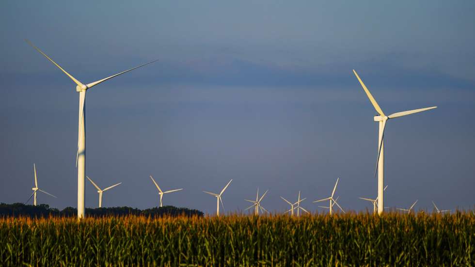 epa08619334 Electric generating windmills of the Meadow Lake Wind Farm rise over corn and soybean fields near Wolcott, Indiana, USA, 22 August 2020. The farm has 414 turbines operating over three counties and has an approximate annual output capacity of 1,900 GW hours.  EPA/TANNEN MAURY