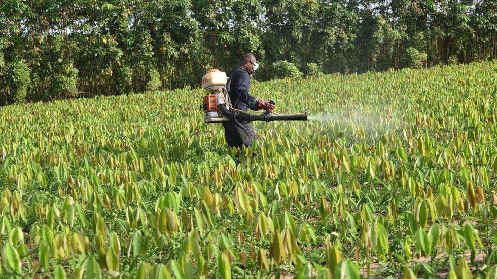 "Sem este incentivo, pesticidas perigosos podem permanecer no mercado indefinidamente, ignorando novos dados sobre a sua toxicidade", explica a Quercus