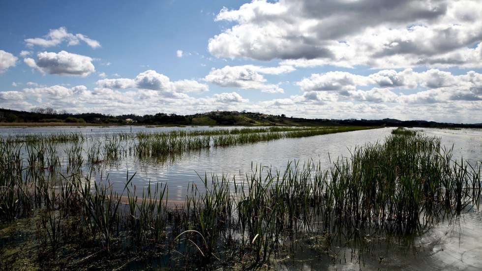 Os regadios ocupam uma área de 626.000 hectares, ou seja, 16% da superfície agrícola utilizada, mais 14,5% do que a área irrigável em 2016