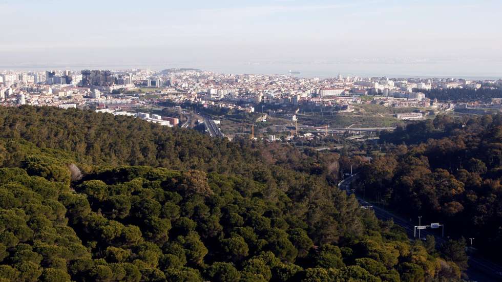 Vários espaços verdes da cidade de Lisboa, como o Parque Florestal de Monsanto, vão estar encerrados