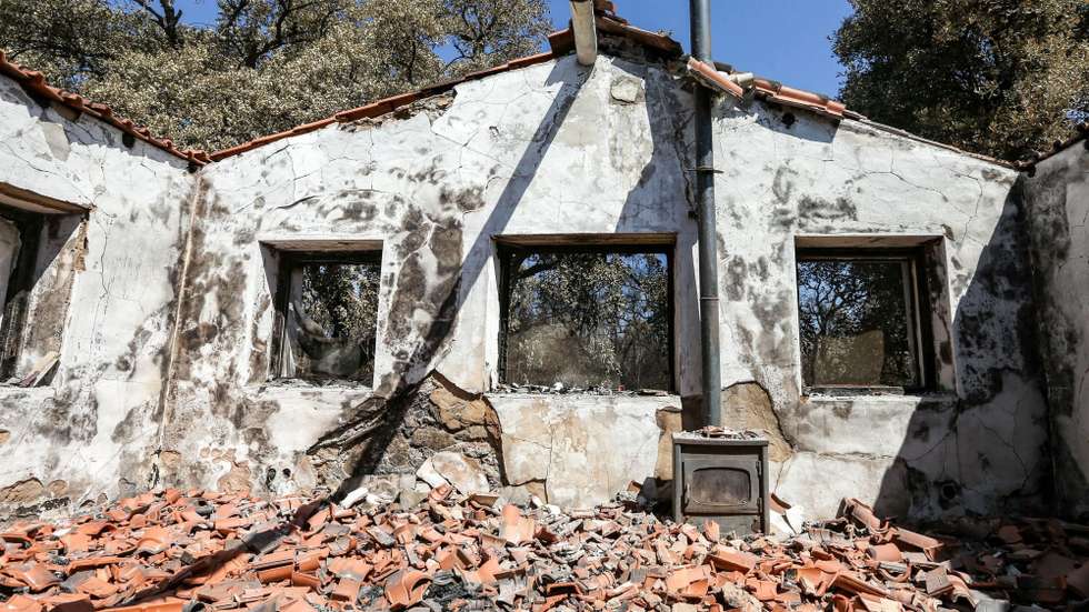 A Zero manifesta também preocupação com a área ardida registada em 2024, que é quatro vezes mais à de 2023