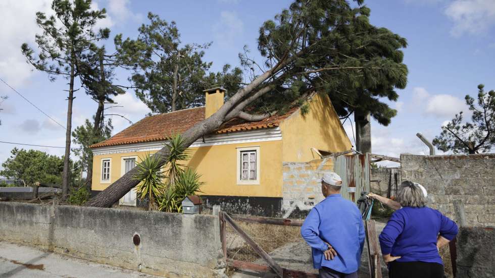 Distrito de Leiria, o mais afetado pelas tempestades, tem 10.807 candidaturas