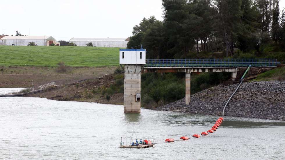 Foram encontrados na barragem "cerca de 200 peixes mortos, sobretudo carpas e pimpões"