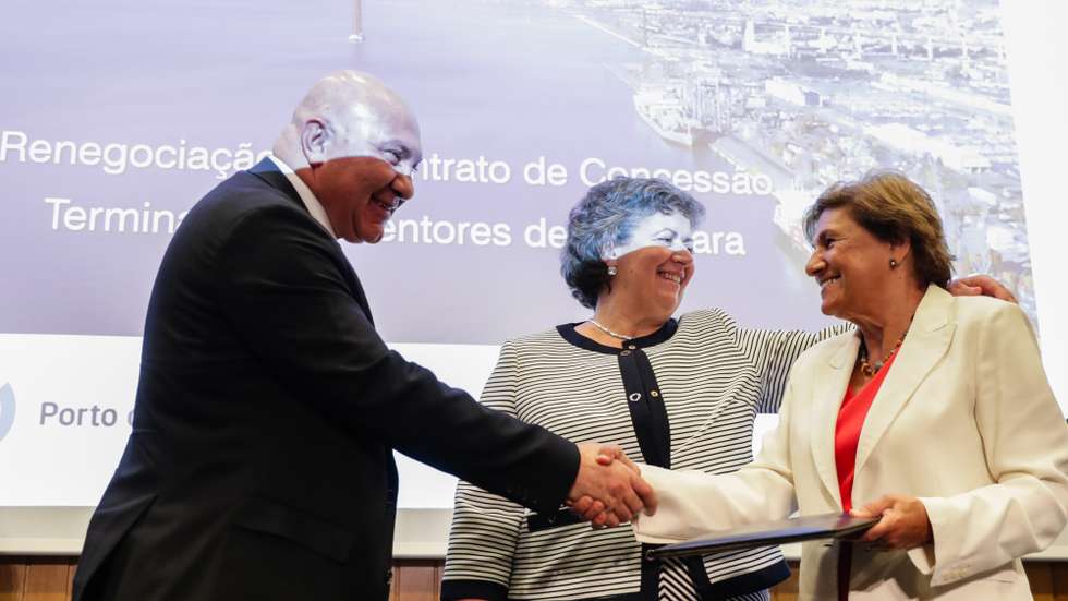 Começou a sua carreira ainda nos anos 70, na então Direção-Geral de Transportes Terrestres e passou por vários cargos, incluindo subdiretora-geral de Transportes Terrestres e vogal do Conselho de Administração da AICEP Global Parques