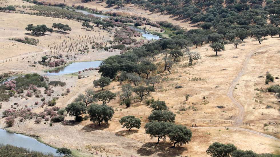 Alterações climáticas