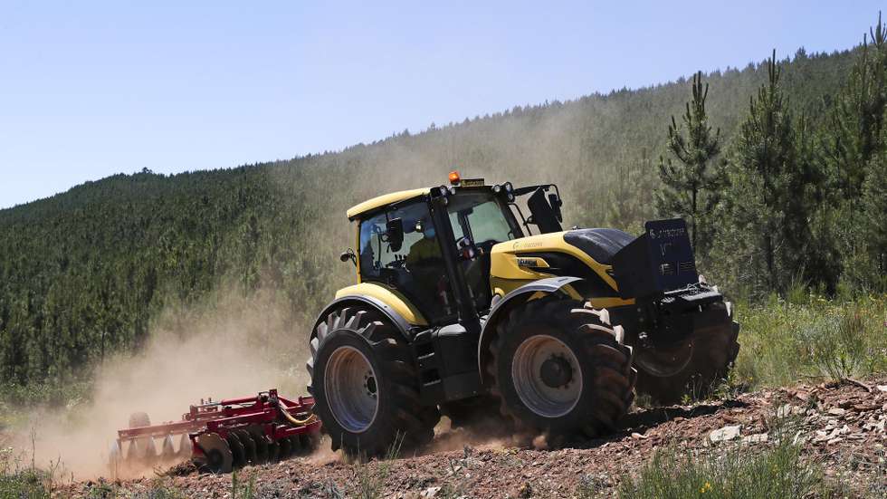 Sapadores florestais procedem à limpeza do terreno, durante os trabalhos de intervenção das redes de faixas de gestão de combustível associadas à rede viária, na Serra de São Mamede, em Marvão, 22 de maio de 2020. NUNO VEIGA/LUSA