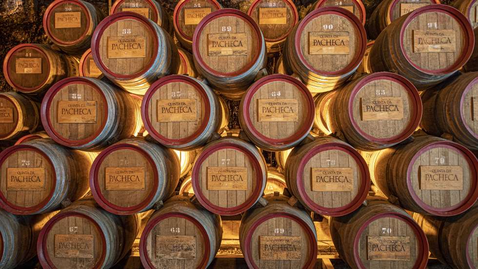 Barris com vinho na adega da Quinta da Pacheca, onde se prepara a reabertura ao turismo com a criação de novas regras de segurança e higiene de combate à pandemia do coronavírus (covid-19), em Lamego, 12 de maio de 2020. (ACOMPANHA TEXTO DO DIA 15 DE MAIO DE 2020). OCTÁVIO PASSOS/LUSA