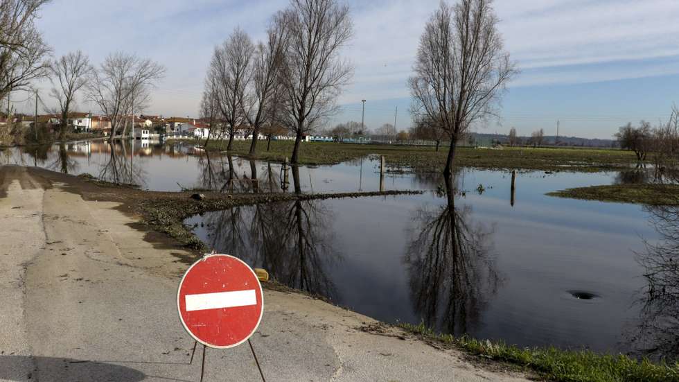 A população da Ereira, Montemor-o-Velho, teme que as próximas chuvas e uma nova subida do rio Mondego venham a inundar a aldeia, devido a uma vala atulhada de detritos e vegetação que não permite escoar a água, Montemor-o-Velho, Coimbra, 6 de janeiro de 2020. Em declarações à Lusa, o presidente de junta da Ereira, Vasco Martins (ausente na fotografia), resumiu a “preocupação” da população, argumentando que “existe um problema grave” com a vala de enxugo, por esta estar cheira de detritos e vegetação que praticamente impossibilita a normal circulação da água. (ACOMPANHA TEXTO). JOSÉ LUIS SOUSA/LUSA