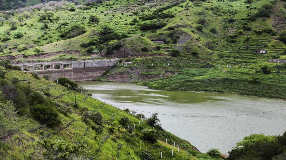 Apesar de pouca, as chuvas no início de setembro permitiram a cultura de milho e há campos cobertos de verde, pasto para os animais e água abundante nas ribeiras, como não se via nos últimos três anos de seca no país. Noutros concelhos, os agricultores lutam contra as pragas de gafanhotos e da lagarta do cartucho do milho e pedem mais chuvas para ainda garantir um bom ano agrícola. Ilha de Santiago, Cabo Verde, 29 de setembro de 2020. No início de setembro, o ministro da Agricultura e Ambiente de Cabo Verde, Gilberto Silva, disse que as chuvas em todo o arquipélago já garantem pasto, mas afirmou que ainda é preciso mais precipitações para produção de milho e feijões e recarga dos lençóis freáticos. ( ACOMPANHA TEXTO DO DIA 4 DE OUTUBRO DE 2020) FERNANDO DE PINA/LUSA