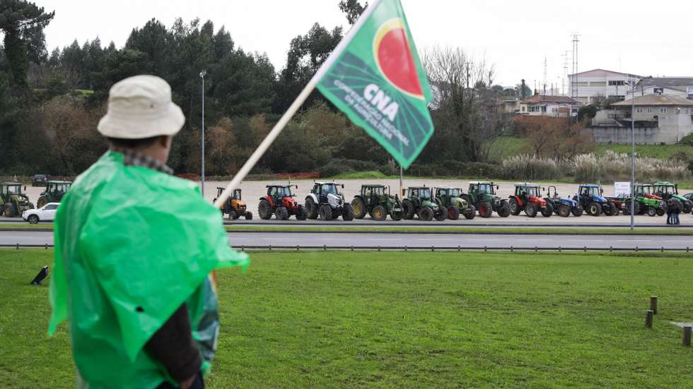 Um agricultor observa os tratores estacionados junto ao recento de Feiras de Aveiro, no final da marcha lenta de tratores pela defesa da lavoura e do mundo rural, promovida pela UABDA – União de Agricultores e Baldios do Distrito de Aveiro, com o apoio da CNA – Confederação Nacional da Agricultura, no âmbito da inauguração da AGROVOUGA, em Aveiro, 20 de novembro de 2019. PAULO NOVAIS/LUSA