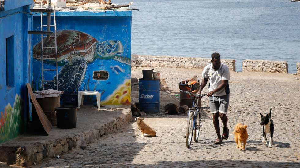 Um tubarão, polvo, golfinhos, tartarugas, peixes, algas, entre muitas outras referências ao fundo do mar dão nova cor a fachadas de 13 casas numa localidade piscatória em Cabo Verde para retratar o percurso do navegador francês Jacques Cousteau, em Porto Mosquito, ilha de Santiago, Cabo Verde, 08 de fevereiro de 2021. O projeto é da Associação Lantuna e o primeiro mural foi pintado em 2018 para sensibilizar as pessoas sobre a conservação das aves marinhas em Porto Mosquito, uma comunidade piscatória no concelho da Ribeira Grande de Santiago, com pouco mais de mil habitantes, e que dista a 20 quilómetros da capital do país, a cidade da Praia. (ACOMPANHA TEXTO DA LUSA DO DIA 27 DE FEVEREIRO DE 2021). FERNANDO DE PINA/LUSA