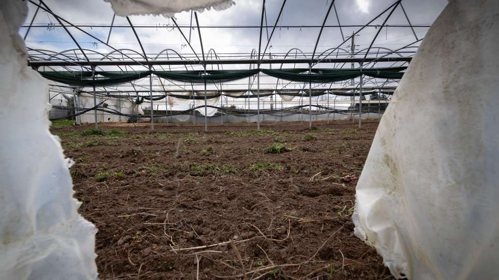 A ministra da Agricultura, Maria do Céu Albuquerque (não aparece), visitou esta manhã explorações afetadas pela depressão &quot;Elsa&quot;, em Chaves, 24 de janeiro de 2020. PEDRO SARMENTO COSTA/LUSA