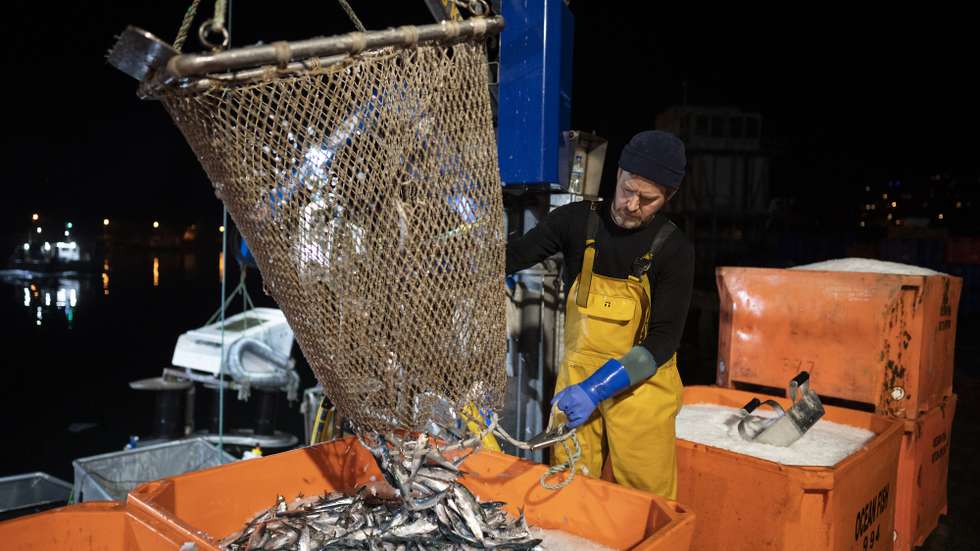 Pescador