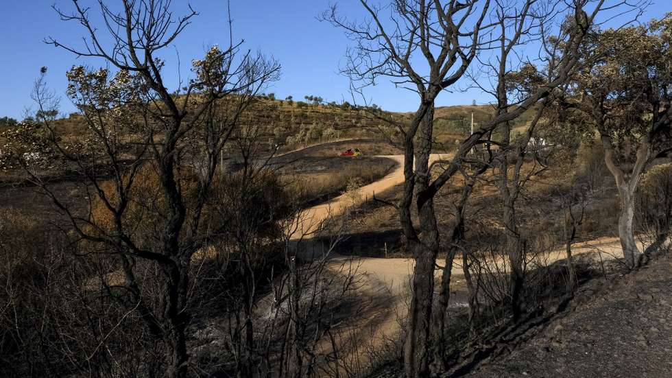 Área ardida após o incêndio que lavra há mais de 24 horas no concelho de Odemira e que às 12:15, tinha cinco setores, mas só três ativos, não havendo habitações em perigo, segundo a Proteção Civil, Odemira, Beja, 19 de agosto de 2021. De acordo com a página da Autoridade Nacional de Emergência e Proteção Civil, estão no local 610 operacionais, com o apoio de 207 viaturas. RUI MINDERICO/LUSA