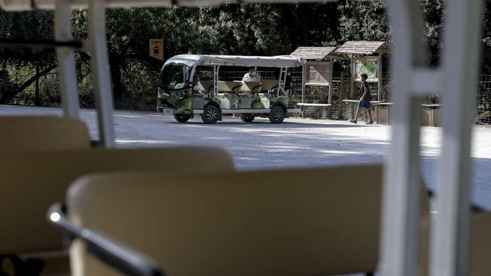 O tradicional comboio a combustíveis para as visitas na Tapada de Mafra foi substituído por veículos elétricos, mais discretos e com menor pegada ecológica, em Mafra, 18 de agosto de 2021. (ACOMPANHA TEXTO DA LUSA DO DIA 22 DE AGOSTO DE 2021). TIAGO PETINGA/LUSA
