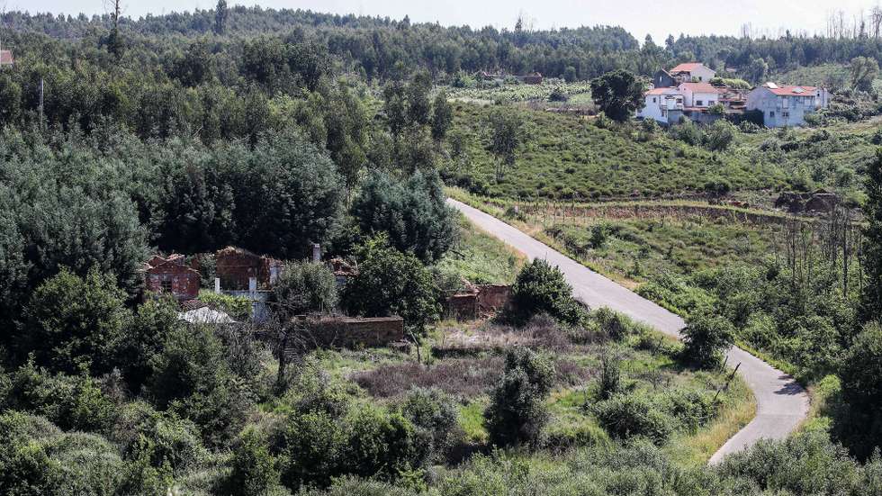 Nas aldeias dos concelhos de Pedrógão Grande, Castanheira de Pêra e Figueiró dos Vinhos ainda são bem visíveis os sinais de destruição  4 anos depois do incêndios de Pedrógão Grande, com casas que continuam destruídas e árvores queimadas por cortar, Castanheira de Pêra,14 de junho de 2021. (ACOMPANHA TEXTO DE 16/06/2021) PAULO NOVAIS/LUSA