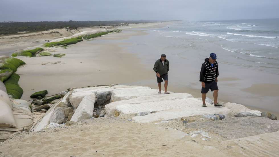 as obras do reforço de emergência do Cordão Dunar a Sul do Esporão n.º 5 da Cova Gala e participa na apresentação do estudo sobre a transposição de areias na barra da Figueira da Foz, 12 agosto 2021. Com o prolongamento em 400 metros do molhe norte do porto comercial, inaugurado em 2011, a erosão nas praias a sul acentuou-se, com destruição da duna de proteção costeira em vários locais, com especial ênfase na praia da Cova, alvo de intervenções de emergência nos últimos anos, a última das quais em curso este verão. PAULO CUNHA/LUSA