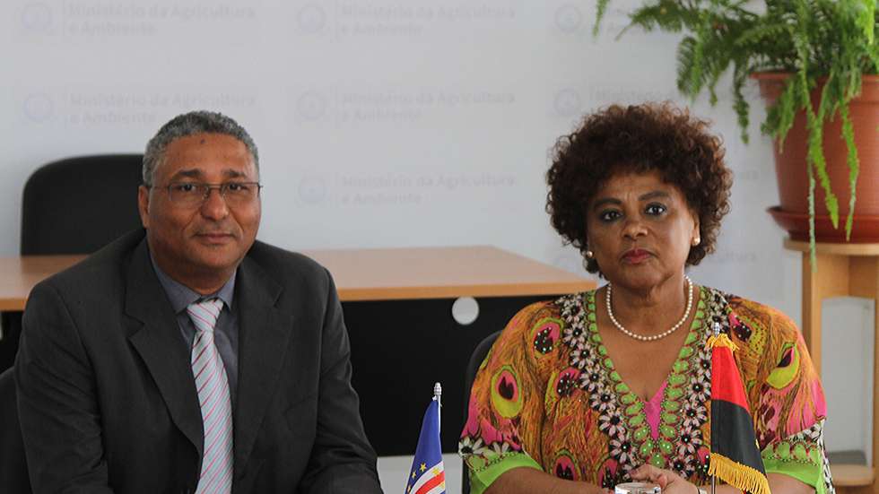 A ministra de Estado na Área Social de Angola, Carolina Cerqueira (D), ladeada pelo ministro da Agricultura e Ambiente de Cabo Verde, Gilberto Silva (E), durante um encontro na Cidade da Praia, Cabo Verde, 19 de dezembro de 2019. FERNANDO DE PINA/LUSA