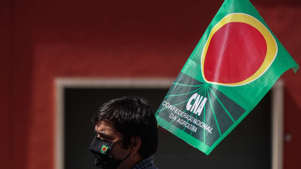 Confederação Nacional da Agricultura
