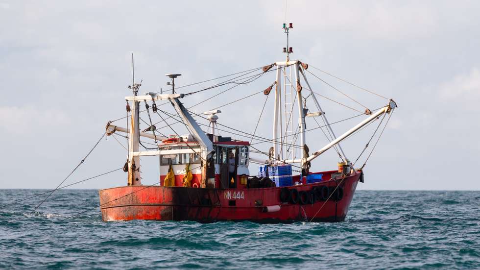 epa08815520 British fishing trawler 'Sajenn' NN444 seen fishing in the English Channel, off the south coast of Newhaven, East Sussex, Britain, 10 November 2020 (issued 12 November 2020). Skipper of the wooden-hulled vessel About Time Neil Witney, has been fishing in the English Channel since the mid-1980s and has watched the local industry shrink over the decades. Like many in the trade, he sees Brexit as an opportunity to revive the sector. 'Hopefully at the end of the year we can get some sort of deal, get our waters back, get control of our quota and then hopefully rebuild our industry and the rest of the maritime industry that goes with it,' he said. Fishing has become a major sticking point in the Brexit negotiations. An agreement on the issue is a prerequisite for a future trade deal between the UK and the European Union which, in theory, should be in place by end of the year. Under the current common fisheries policy, EU vessels have access to fishing grounds in the Exclusive Economic Zones of other member states, although quotas on hauls are negotiated every year. Once outside the EU, the UK will have full control over its EEZ, which stretches 200 nautical miles into the North Atlantic. But while Brussels and London pore over the details of a future deal, Witney cracks on with his job. Fishing from small trawlers is extremely weather dependent and he estimates that he is able to head out on between 150 to 180 days per year. Each time, he aims to make two catches, which means his shift can last up to 14 hours. On a typical day, he expects to catch around 30 different species of fish which, subject to quotas and marketability, will all be kept. 'We used to be able to fish for sprats, herrings, mackerel here but this year we've seen a lot of tuna, but we've got no quota for tuna or horse mackerel and we've lost all the market for things like sprats so at the moment it's almost uneconomical to go fishing. Hopefully things will change for the better in the new y