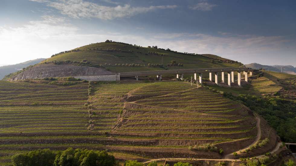Vinhas do Douro em Peso da Régua, distrito de Vila Real, 21 de abril de 2017. PEDRO SARMENTO COSTA / LUSA