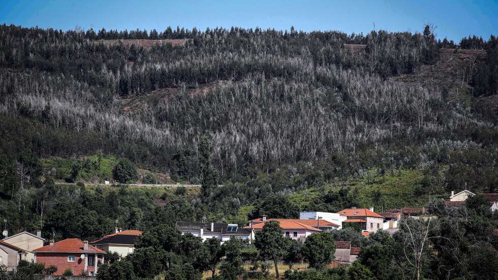 Nas aldeias dos concelhos de Pedrógão Grande, Castanheira de Pêra e Figueiró dos Vinhos ainda são bem visíveis os sinais de destruição  4 anos depois do incêndios de Pedrógão Grande, com casas que continuam destruídas e árvores queimadas por cortar, Castanheira de Pêra,14 de junho de 2021. (ACOMPANHA TEXTO DE 16/06/2021) PAULO NOVAIS/LUSA