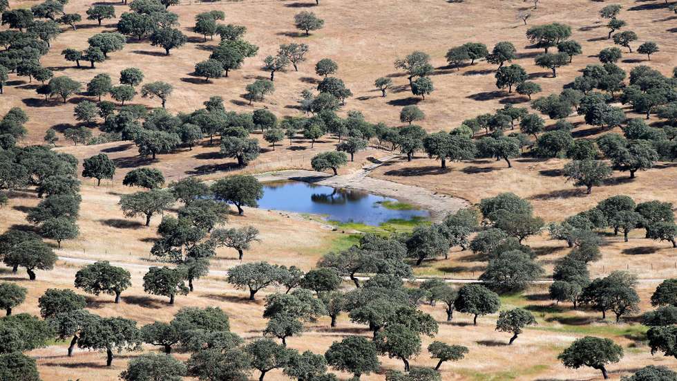 Vista aérea da Herdade da Contenda