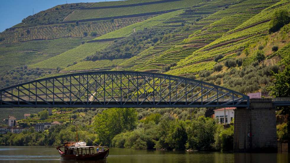 Um barco de uma operadora de turismo do Douro passa com turistas a bordo pela ponte do Pinhão, Vila Real, 05 de junho de 2020. Várias empresas marítimo-turísticas estão instaladas na vila do Pinhão, concelho de Alijó, distrito de Vila Real. As embarcações atracadas no cais, desde veleiros a barcos rabelo, esperam pelos turistas que, nos anos anteriores, invadiam este território provenientes dos mais diferentes países. (ACOMPANHA TEXTO DA LUSA DO DIA 08 DE JUNHO DE 2020). PEDRO SARMENTO COSTA/LUSA
