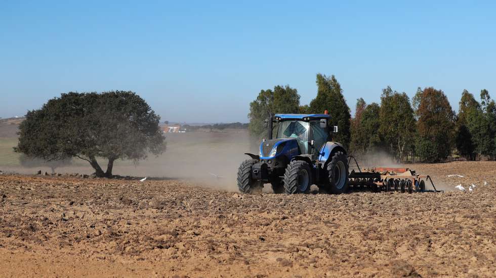 Um trator prepara um terreno para a sementeira, numa propriedade agrícola em Castro Verde, 15 de novembro de 2021. Segundo os agricultores desta região, que abrange os concelhos alentejanos de Castro Verde e Almodôvar e parte dos municípios de Aljustrel, Mértola e Ourique, os custos dos fatores de produção ligados à atividade agrícola têm “disparado” de forma “exorbitante” nos últimos meses e admitirem que a situação está a tornar-se “insustentável”. (ACOMPANHA TEXTO DA LUSA DO DIA 18 DE NOVEMBRO DE 2021). NUNO VEIGA/LUSA