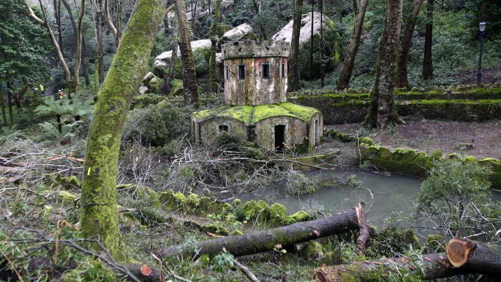 Campanha de limpeza no Monte da Lua na sequência do temporal que assolou no último fim de semana na Serra de Sintra, 26 de janeiro de 2013. MANUEL DE ALMEIDA / LUSA