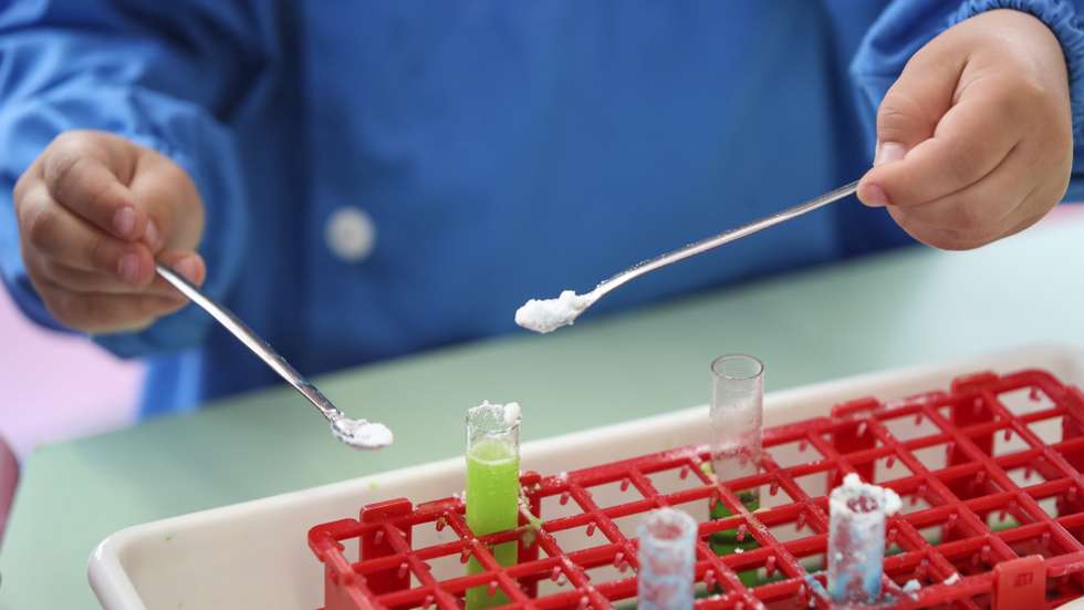 A Fundação para a Ciência e a Tecnologia (FCT) vai assumir os custos do funcionamento da agência Ciência Viva até ao máximo de 12 mil euros