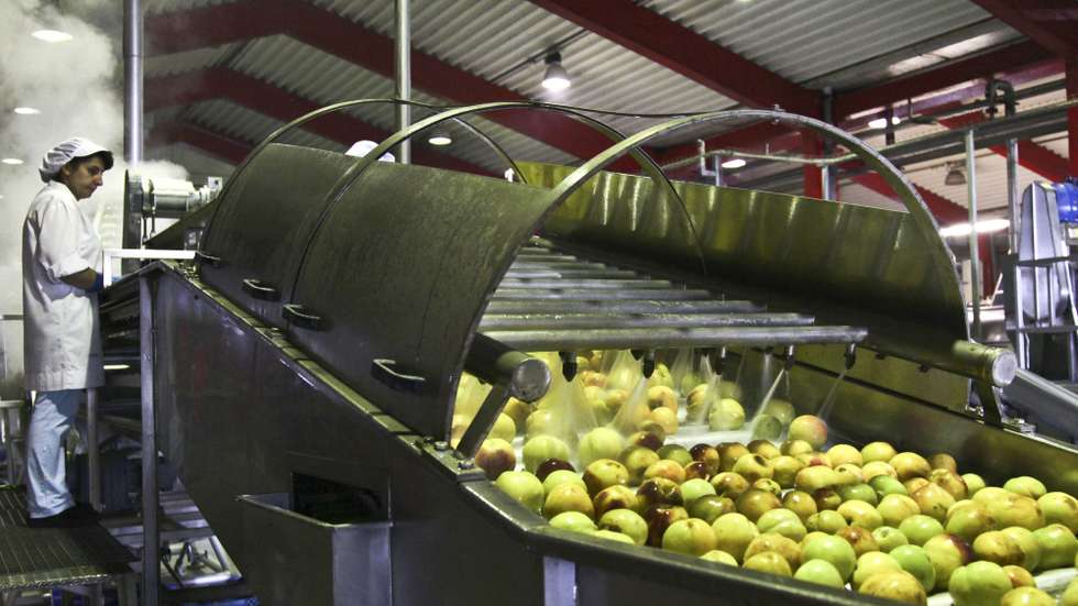 Maçãs na linha de produção da empresa Sumol-Compal em Almeirim, 16 de setembro de 2011. PAULO CUNHA/LUSA