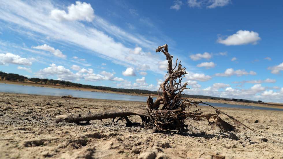 Margem da barragem do Caia, que tem atualmente um volume de 91.935 mil metros cúbicos de água, o que representa 48,39%, em relação à cota de descarga da barragem (190 milhões de metros cúbicos). De acordo com o índice PDSI, no último mês agravou-se a situação de seca meteorológica em todo o território, com um aumento muito significativo da área em seca severa, estando agora grande parte do território nessa classe. Elvas, 21 de junho de 2022. NUNO VEIGA / LUSA