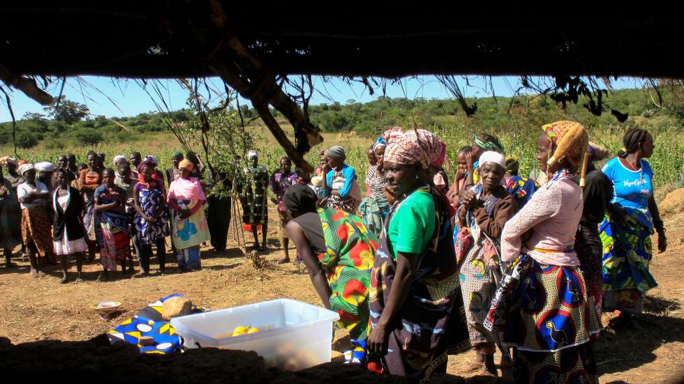 Camponeses do sul de Angola das províncias da Huíla, Namibe e do Cunene, vão à escola para aprender a cultivar e apaziguar a fome, no Lubango, Angola, 03 de maio de 2022. No Sul de Angola, região assolada por secas cíclicas e cada vez mais severas, milhares de pessoas enfrentam graves situações de desnutrição que as escolas de campo (ECA) tentam aliviar, introduzindo melhorias na produção agrícola. (ACOMPANHA TEXTO DA LUSA DO DIA 04 DE MAIO DE 2022). AMPE ROGÉRIO/LUSA