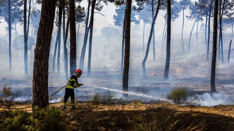 Elementos dos bombeiros durante o combate ao incêndio que lavra na zona da Quinta do Lago, em Almancil, Faro, 13 de julho de 2022. Dezasseis dos 18 distritos de Portugal continental estão hoje sob aviso vermelho, o mais grave, devido ao tempo quente, com mais de uma centena de concelhos em perigo máximo de incêndio rural. DUARTE DRAGO/LUSA