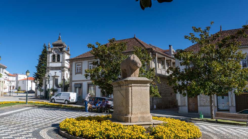 Porca de Murça em Murça, distrito de Vila Real, 24 de Agosto de 2017. PEDRO SARMENTO COSTA / LUSA