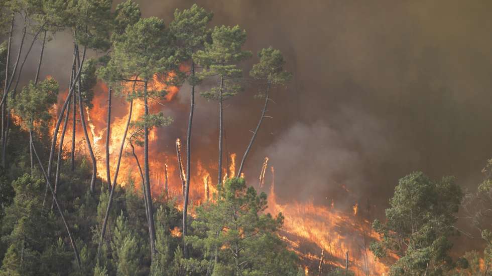 Incêndio em Quebrada de Baixo, freguesia de Freixianda, concelho de Ourém, 09 de julho de 2022. O ministro da Administração Interna destacou hoje a "capacidade de fiscalização" mobilizada no combate aos incêndios, após ter sobrevoado os fogos de Carrazeda de Ansiães e de Ourém, a bordo de uma aeronave P-3C Cup+ da Força Aérea. PAULO CUNHA/LUSA
