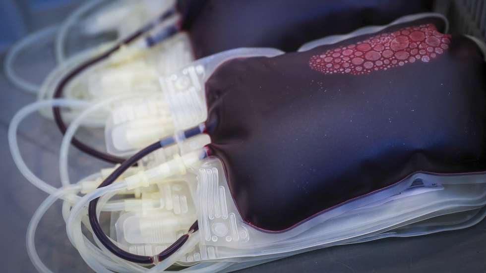 Sacos de sangue
