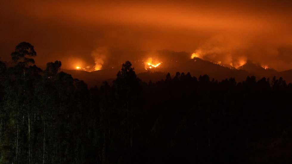 epa10448873 A forest fire burns in Alto de Menque, Biobio Region, Chile, 05 February 2023. Ongoing forest fires in Chile have destroyed more than 45,000 hectares of land since December 2022, mainly in the regions of Nuble, Biobio and La Araucania, areas of intense agricultural and forestry activity located between 400 and 700 kilometers south of the capital Santiago.  EPA/ESTEBAN PAREDES DRAKE