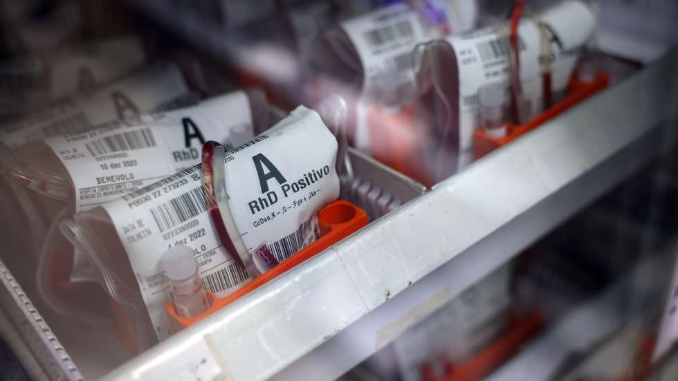 Bolsas com sangue no serviço de imunohemoterapia, no Hospital de Portalegre, 10 de janeiro de 2023. NUNO VEIGA/LUSA