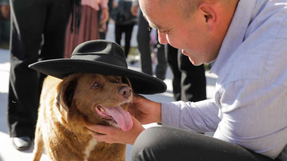 Leonel Costa plays with Bobi, a 31-year-old dog, that has celebrated his birthday as a celebrity in rural village of Conqueiros, in Leiria, central Portugal after being declared the world's oldest dog ever two months ago by Guinness World Records, Leiria, 13 May 2023. Bobi's owner kept him in secret as a child after his parents said they couldn't keep the litter of new pups. His owners attribute his longevity to his diet of human food. PAULO CUNHA/LUSA
