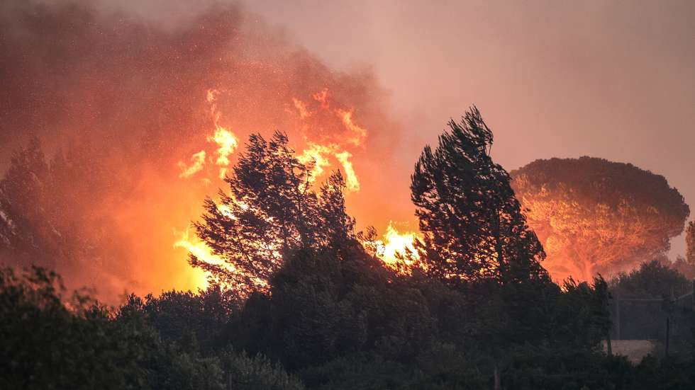 Bombeiros combatem as chamas no Alto do Alvide, Cascais, 25 de julho de 2023. 423 operacionais, apoiados por 111 veículos e 14 meios aéreos combatem um incêndio que deflagrou em Alcabideche, no concelho de Cascais e que já causou ferimentos ligeiros num bombeiro. MANUEL DE ALMEIDA/LUSA