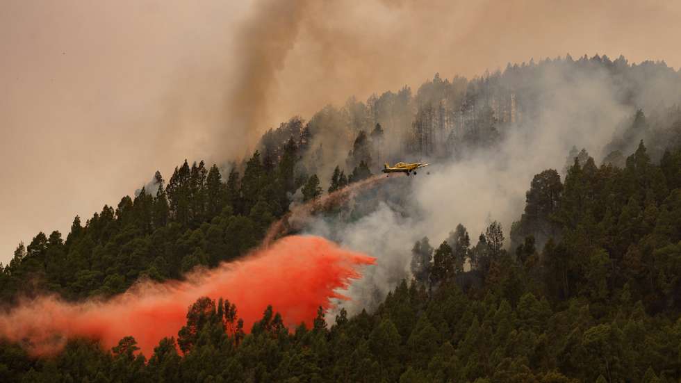 epa10804409 An aircraft fights the forest fire at El Rosario in Tenerife, Canary Islands, Spain, 17 August 2023, as the wildfire affecting the area continues out of control. The fire, that started on 15 August 2023, has already burnt 2,600 hectares within a 31 km perimeter and has forced inhabitants from El Rosario to stay indoors.  EPA/RAMON DE LA ROCHA